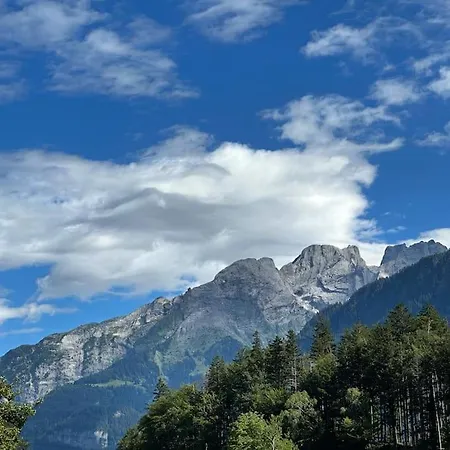 Chalet 5 Bedrooms Bruenig *