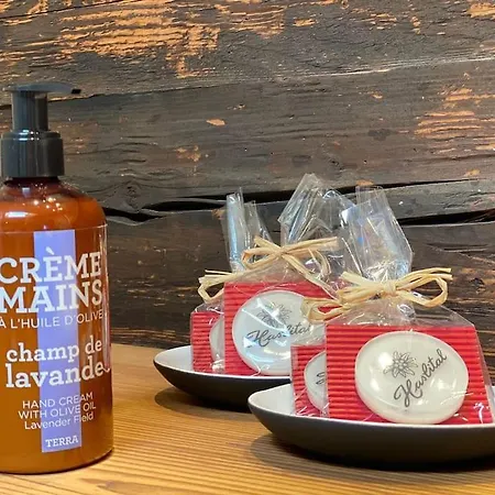 5 Bedrooms Bruenig * Meiringen