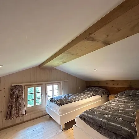 Chalet 5 Bedrooms Bruenig *