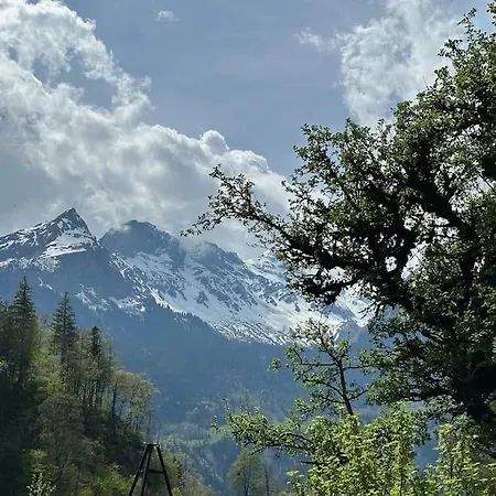 Chalet 5 Bedrooms Bruenig