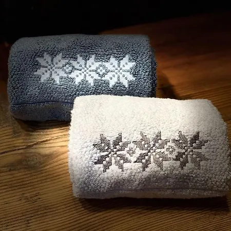 Chalet 5 Bedrooms Bruenig *