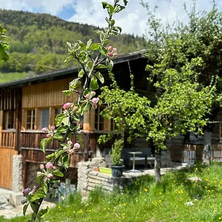 Chalet 5 Bedrooms Bruenig