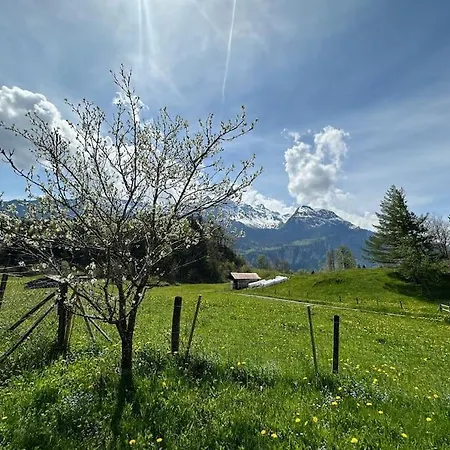 Horská chata 5 Bedrooms Bruenig Meiringen
