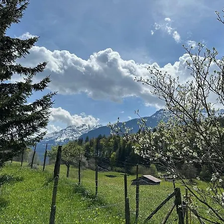 5 Bedrooms Bruenig Chalet