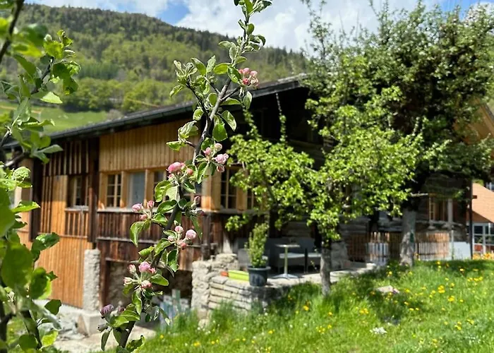 Alpehytte 5 Bedrooms Bruenig