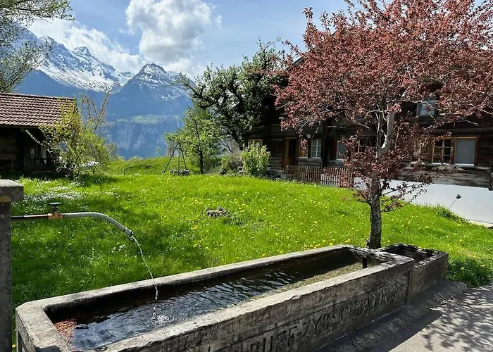 5 Bedrooms Bruenig Meiringen