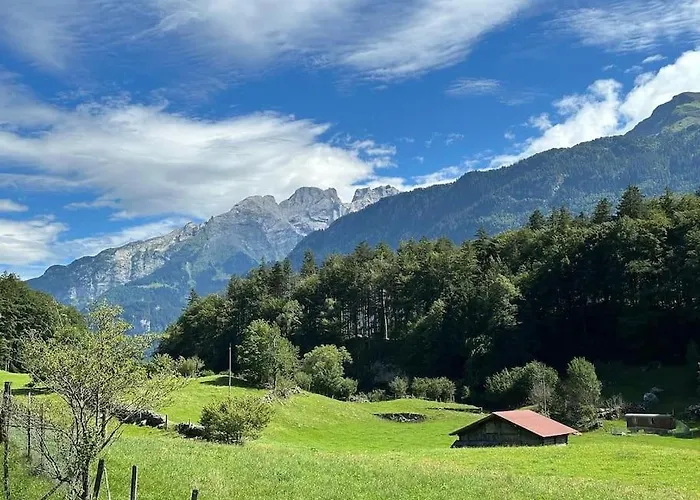 5 Bedrooms Bruenig Alpehytte