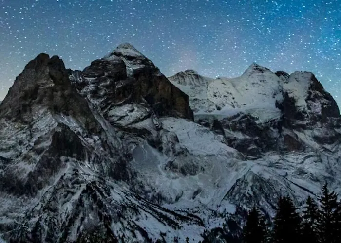 Alpehytte 5 Bedrooms Bruenig Meiringen