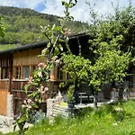 Horská chata 5 Bedrooms Bruenig