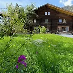 Horská chata 5 Bedrooms Bruenig *