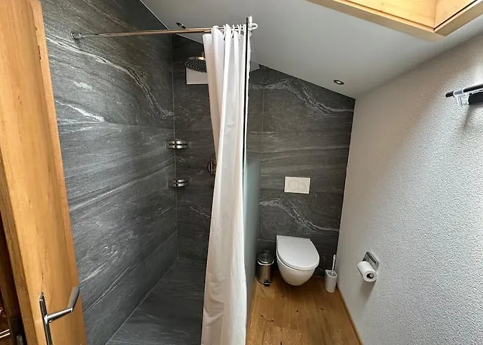 5 Bedrooms Bruenig Alpstuga *