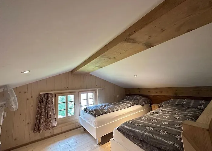 Alpstuga 5 Bedrooms Bruenig *