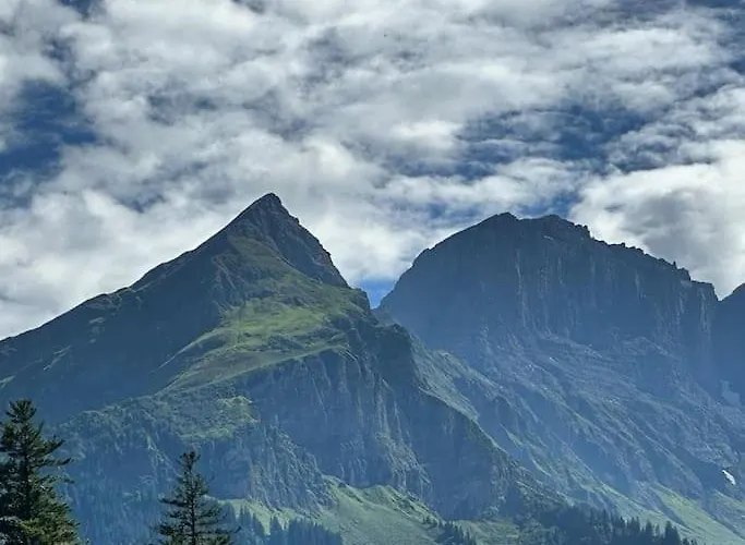 Alpstuga 5 Bedrooms Bruenig *