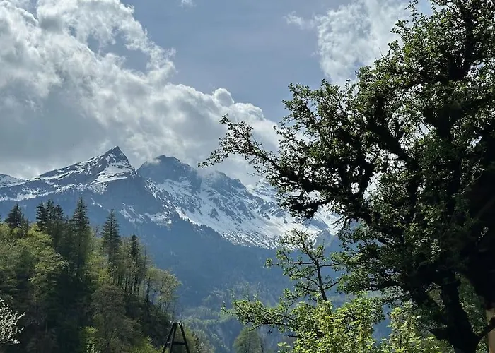 Alpstuga 5 Bedrooms Bruenig
