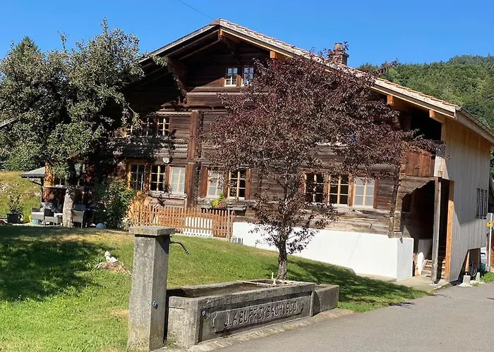Alpstuga 5 Bedrooms Bruenig *