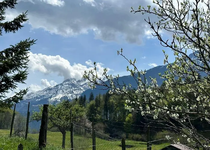 Alpstuga 5 Bedrooms Bruenig Meiringen