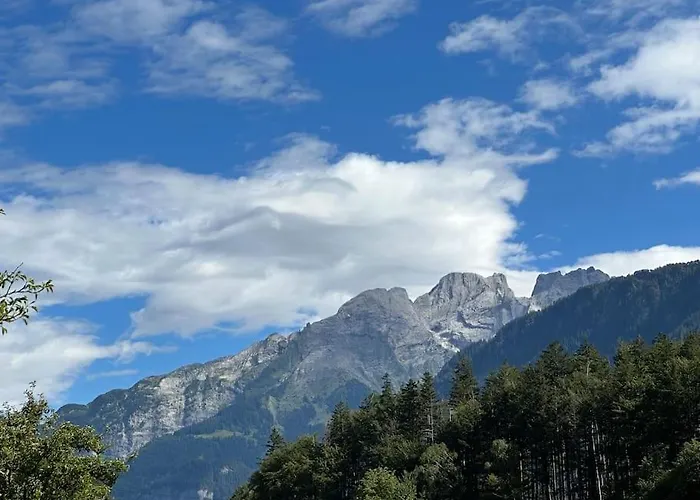 Alpstuga 5 Bedrooms Bruenig Meiringen