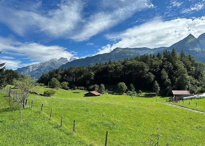 Alpstuga 5 Bedrooms Bruenig *