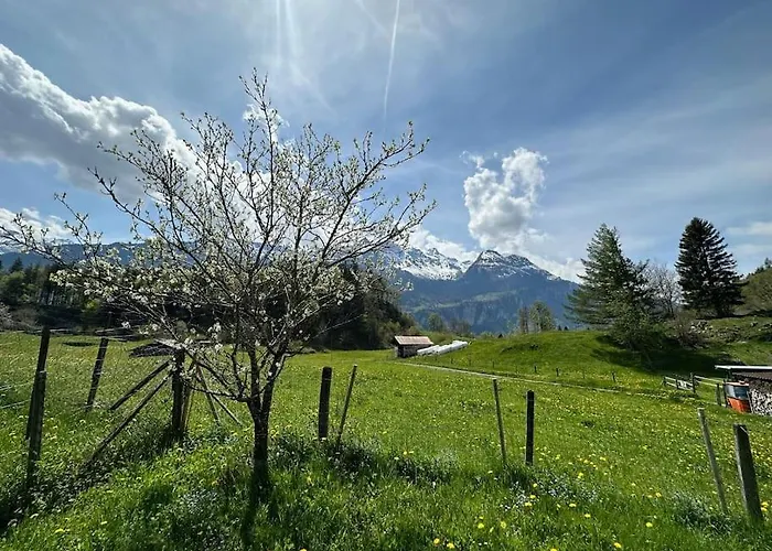 Alpstuga 5 Bedrooms Bruenig Meiringen