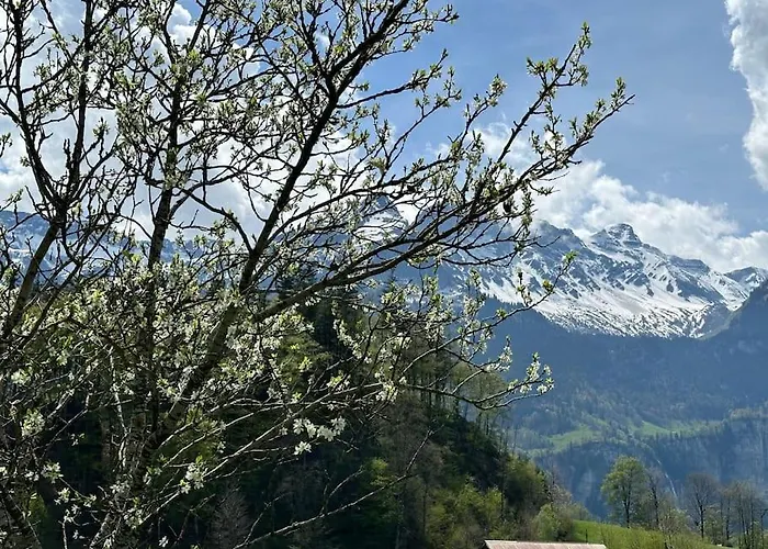 Alpstuga 5 Bedrooms Bruenig